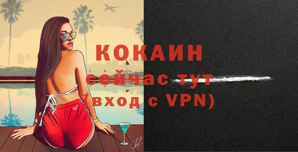 гашик Барнаул