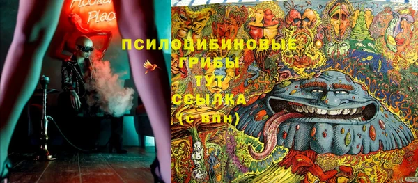 гашик Барнаул