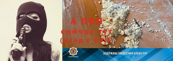 шишки Новодвинск