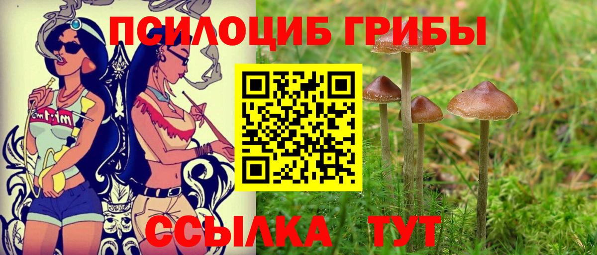 Галлюциногенные грибы ЛСД  Вход с VPN  Касимов 