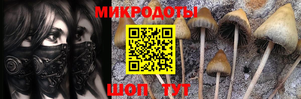 Галлюциногенные грибы Psilocybine cubensis Касимов